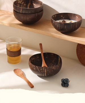 Coconut Shell Bowl 1set（5pcs）